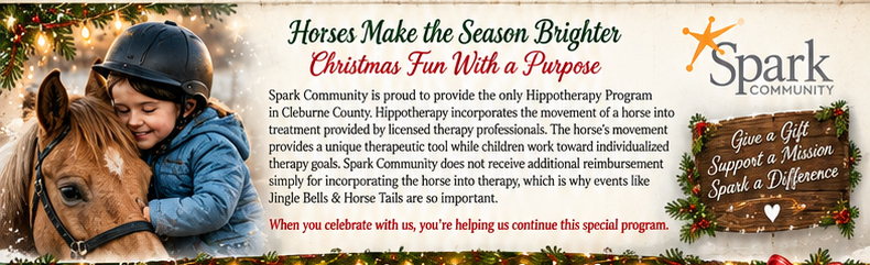 A girl hugging a horse, with text describing Spark's Hippotherapy Program.
